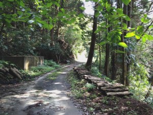 嶺坂山線途中２